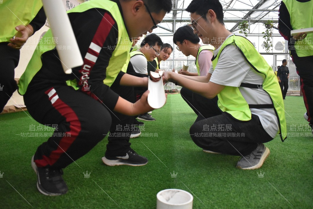 南京拓展训练活动，打造高效团队，突破商业瓶颈.jpg