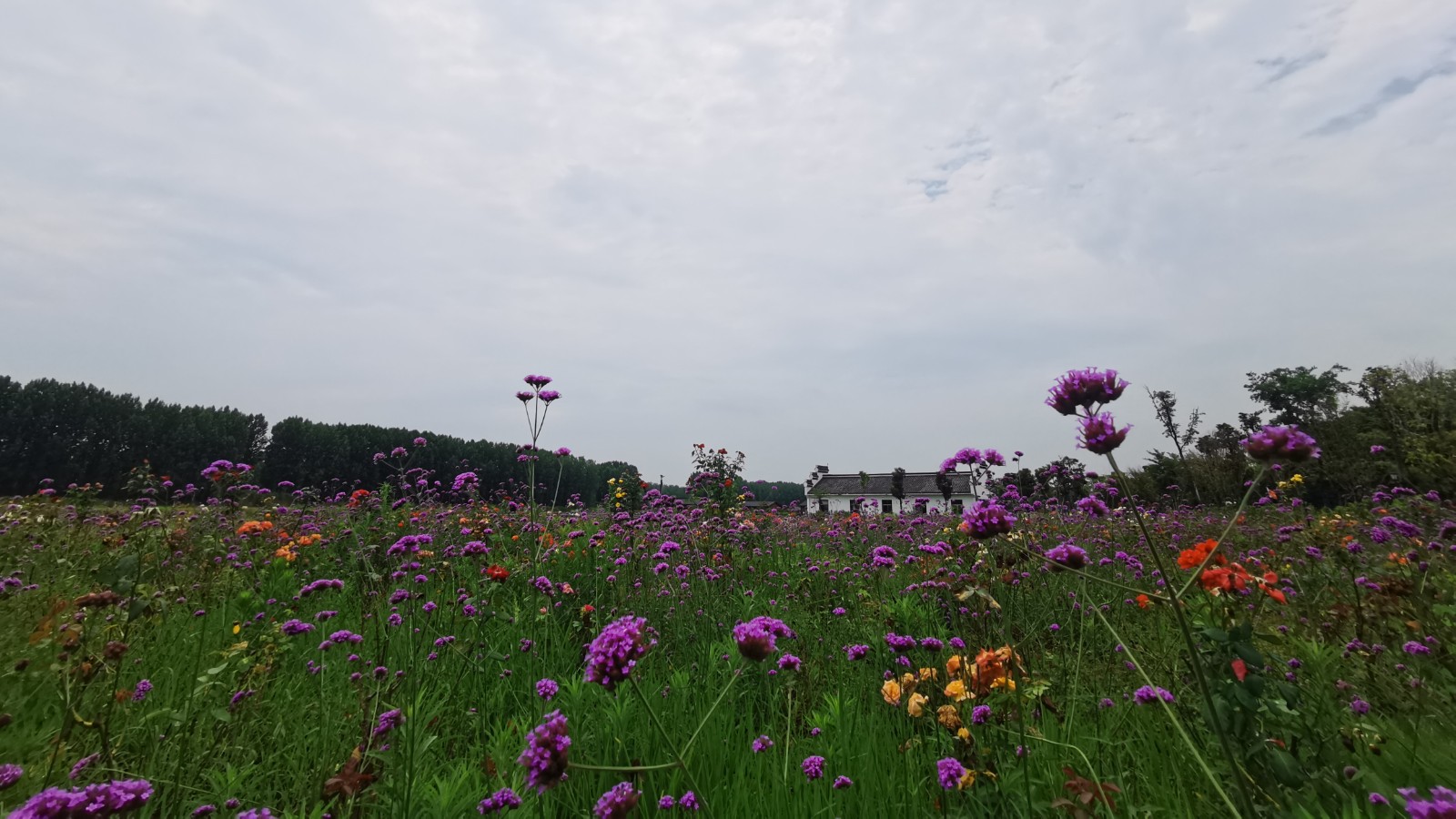 南京舟渔寨1日拓展团建活动策划方案 | 启点拓展团建活动策划公司 .jpg