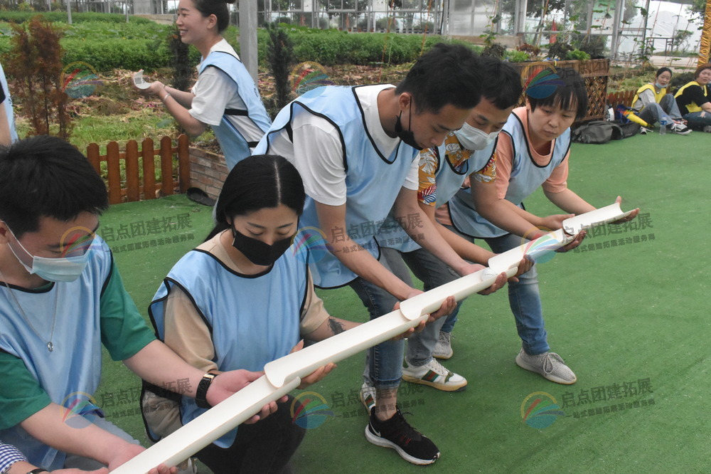 定制个性化团建活动方案，激发团队活力.jpg