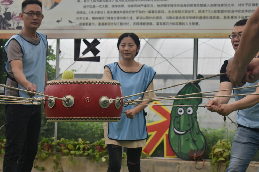 企业新员工拓展，凝聚团队力量.jpg