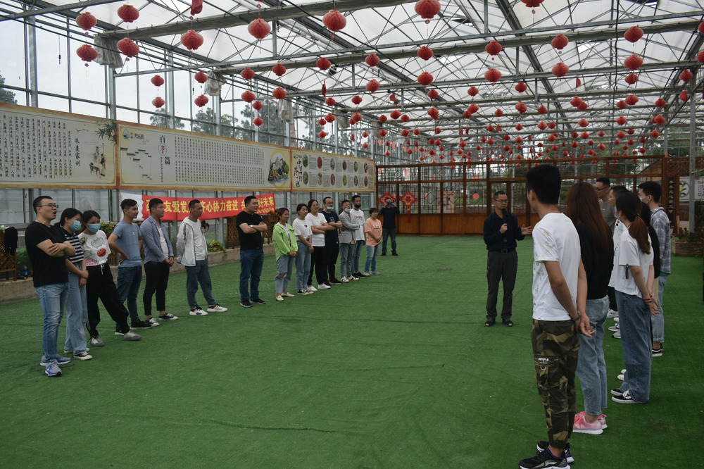 春绿满园，团队建设铸辉煌.jpg