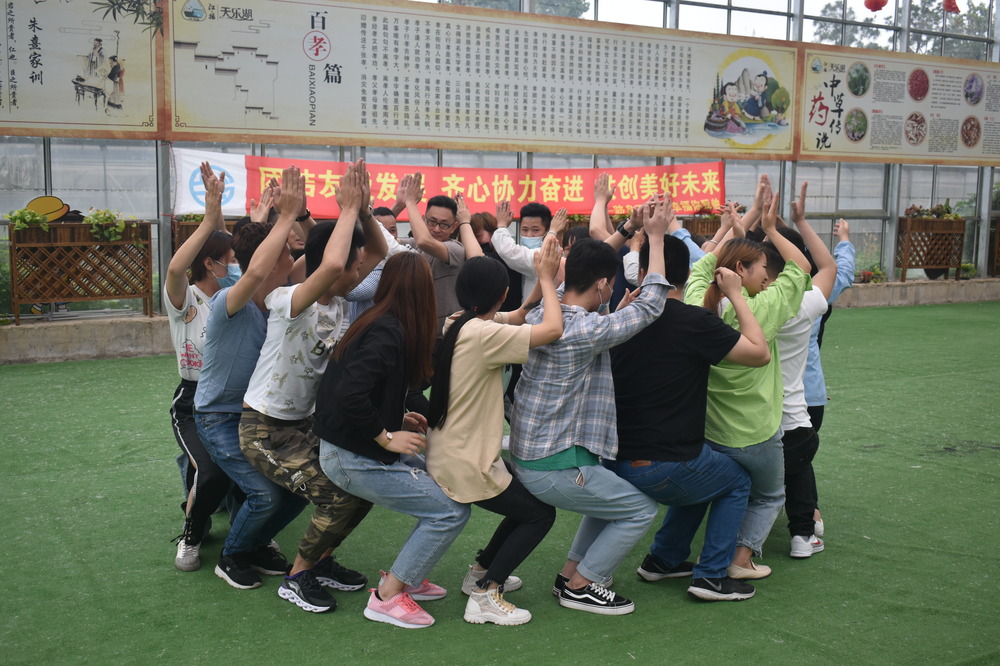 春季团队建设优选，培养团队默契.jpg