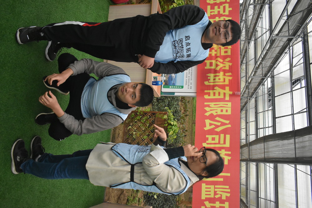 解锁南京六合：三大热门团建地点全攻略.jpg