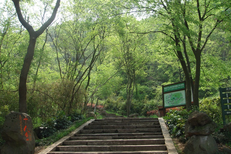 启点团建拓展之“南京方山风景区”团建拓展基地：团队活力与自然之美的完美融合9.png