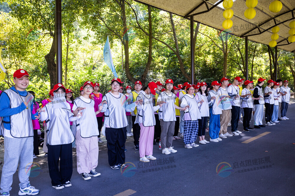 团队建设新征程，提升协作能力