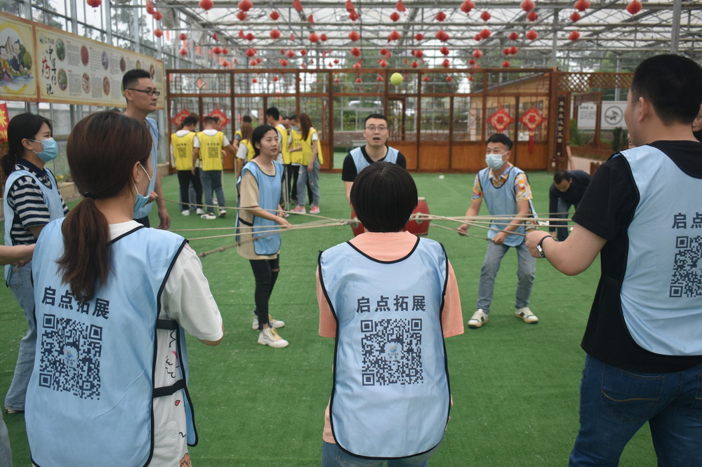 员工团建凝聚，共创美好未来
