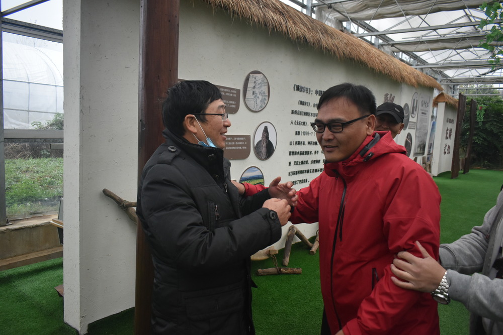 学生素质拓展训练：激发兴趣与探索精神