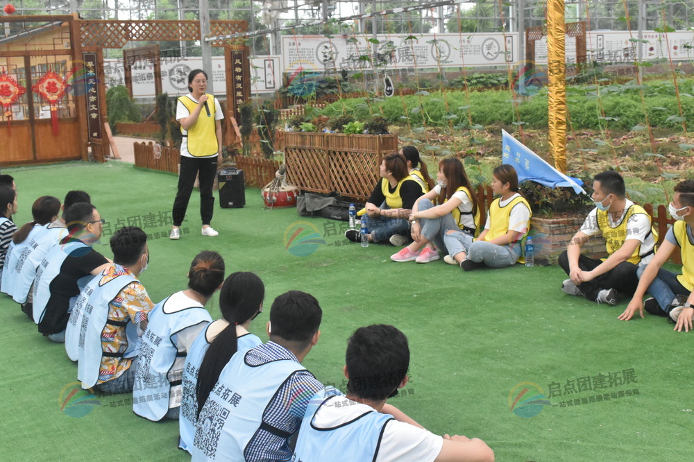 启点团建：扬州大学生拓展训练的引领者